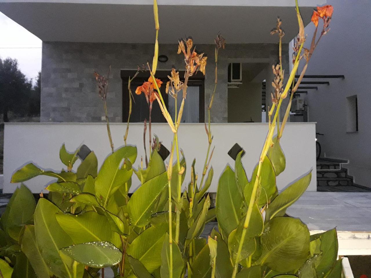 Villa Oliva Astris Exterior foto